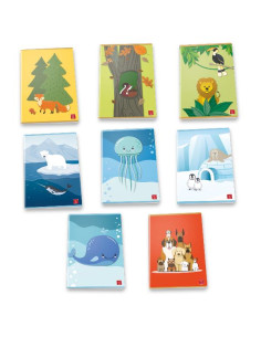 CF10 QUAD 20FG ANIMALIAM A4 80G ASS