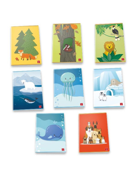 CF10 QUAD 20FG ANIMALIAM A4 80G ASS