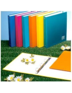 CF6RACCOGLITORE A5 ONE COLOR