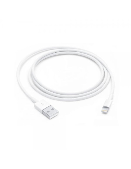 Apple Cavo da Lightning a USB (1 m)
