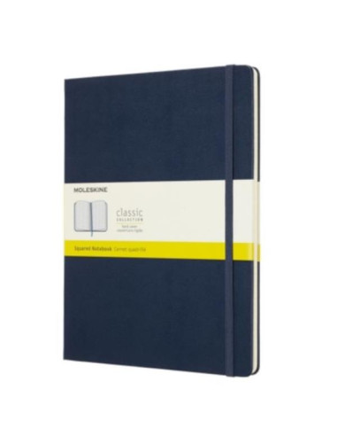 TACCUINO LARGE RIGIDO A RIGHE BLU