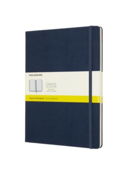 TACCUINO LARGE RIGIDO A RIGHE BLU