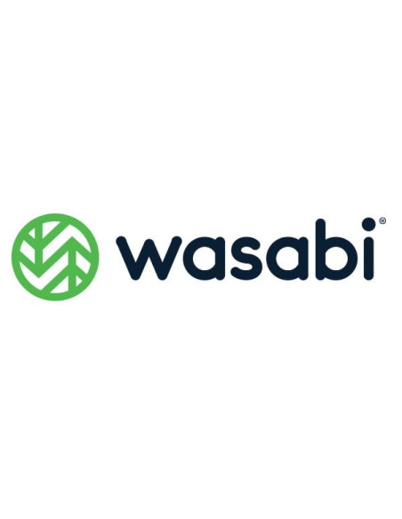 WASABI C NAS 25TB 1 YEAR