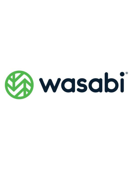 WASABI SURV CLOUD 100TB 1 YEAR
