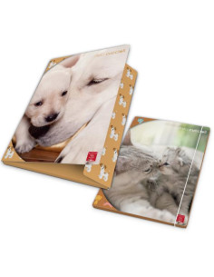 CF6 CART 3LEMBI DOLCI CUCCIO D1,2