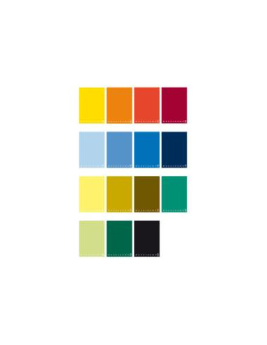 CF5 MAXI SPIRALATO NO FORI A4 1R