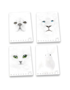 CF10 MAXIMONOCROMO WHITE 4M A4 100G