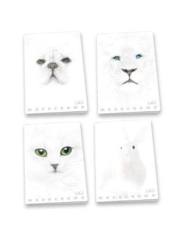 CF10 MAXIMONOCROMO WHITE 4M A4 100G