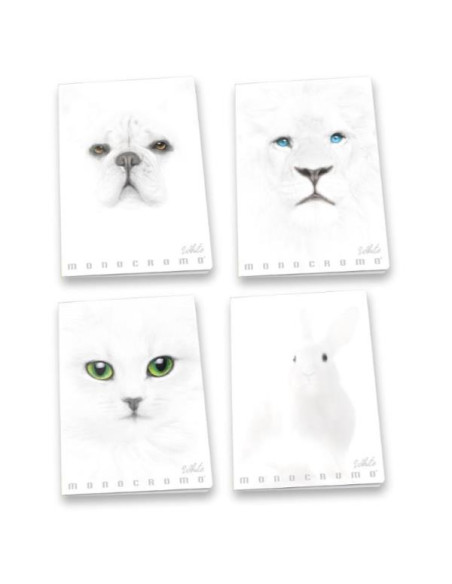 CF10 MAXIMONOCROMO WHITE 4M A4 100G