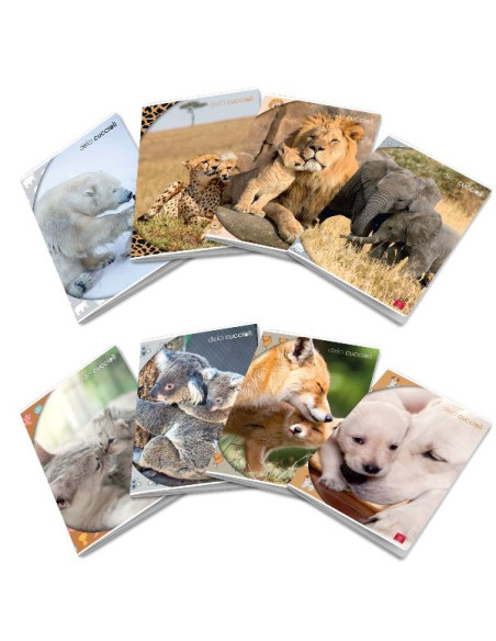 CF10 MAXI DOLCI CUCCIOLI 42FF/SH 0C