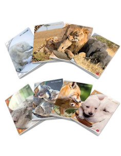 CF10 MAXI DOLCI CUCCIOLI 42FF/SH 0Q