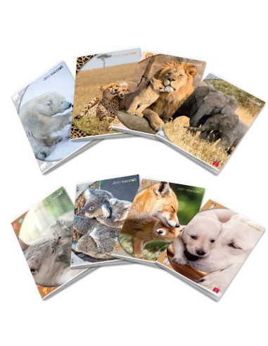 CF10 MAXI DOLCI CUCCIOLI 42FF/SH 0Q