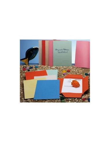 CF50CARTELLINA 3L ZAFFIRO VERDI