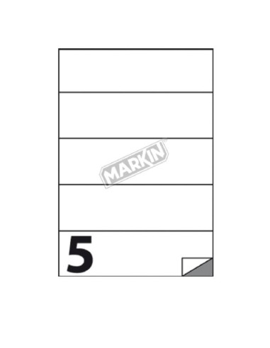 CF500 ETICHETTE  5FGX100  210X59 4