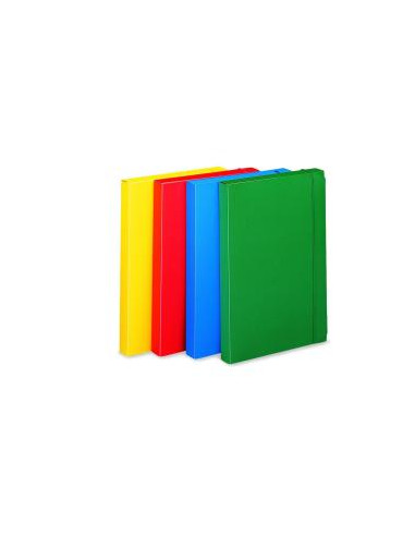 CARTELLA PROGETTO DORSO 3 VERDE