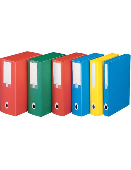 SCATOLA PROGETTO PLUS10 EKO ROSS