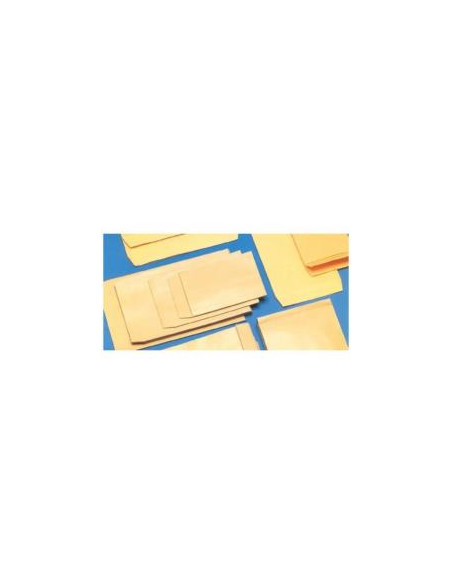 CF10 SACCO IMBOT/AVAN INT13X20CM A