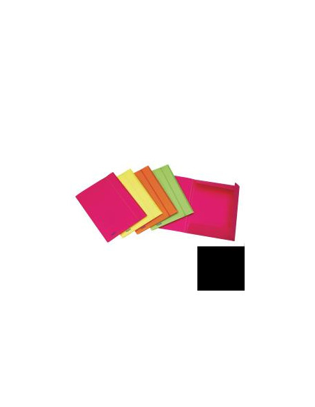 CART. NEON LEMBI C/ELAST. ASS