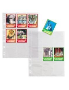 CF10 BUSTE PORTAFIGURINE A4 9 SPAZI