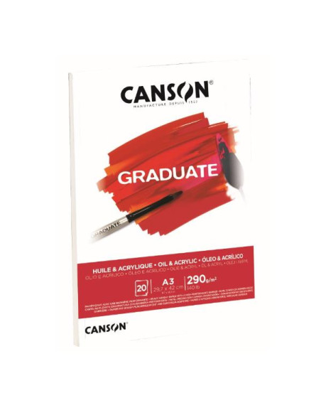 BLOCCO OIL   ACRYLIC A3 20 FG. 290G