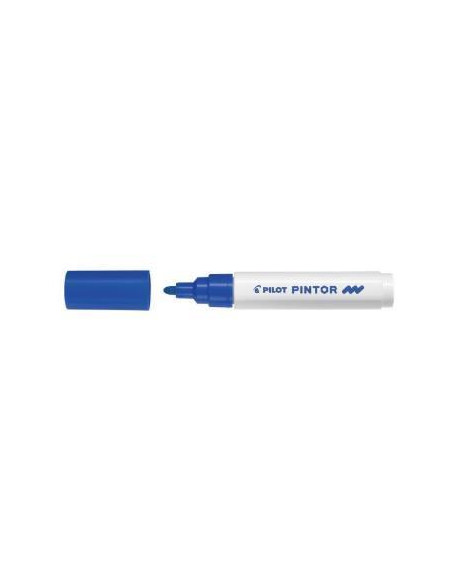 CF6 MK PINTOR MEDIO BLU  SW-PT-M-L