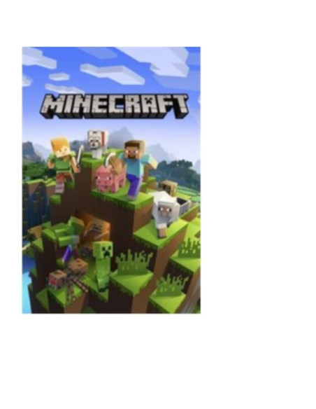 MINECRAFT  EDUCATION EDITION
