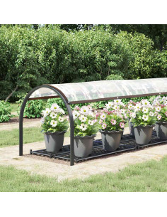 Telone Trasparente con Occhielli 1x5 m in Polietilene