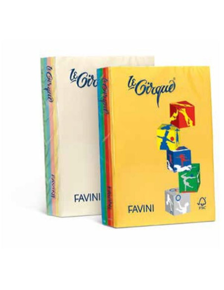 RISMA LE CIRQUE 80G 5 COL FORTI A4