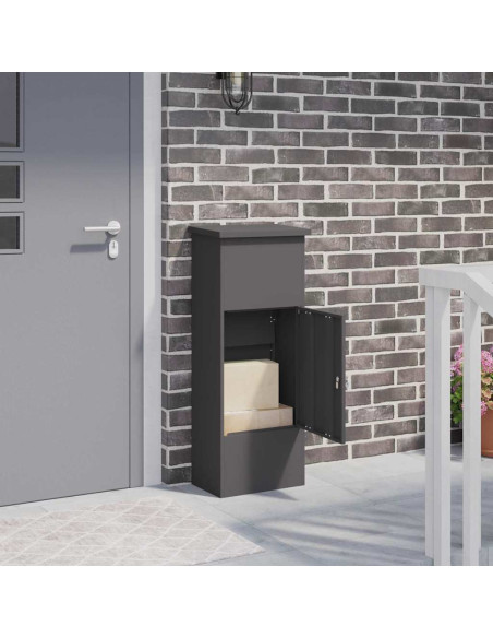 Cassetta per pacchi con porta Nero 44,5 x 29 x 110,5 cm Acciaio