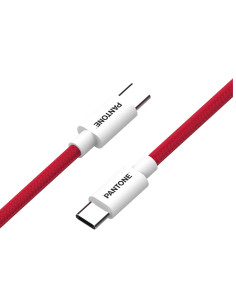 PANTONE USB-C TO USB-C CABLE 60W RD