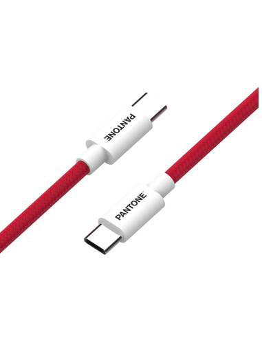 PANTONE USB-C TO USB-C CABLE 60W RD