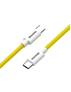 PANTONE USB-C TO USB-C CABLE 60W YW