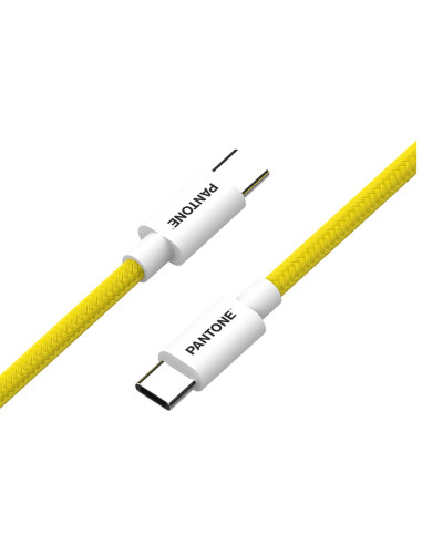 PANTONE USB-C TO USB-C CABLE 60W YW