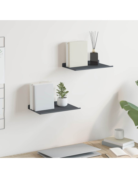 Scaffale da parete 2 pcs Antracite 30 x 18 x 2,5 cm