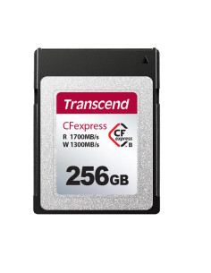 256GB CFEXPRESS CARD TLCI