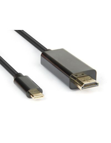 CAVO USB TIPO C TO HDMI M 4K2K