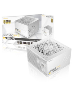 GSK850 WHITE EC PSU