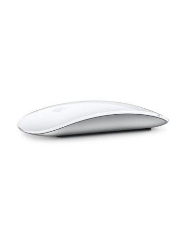 MAGIC MOUSE WH-INT
