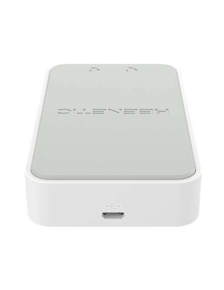 Keenetic Linear Adattatore USB per telefono analogico a doppia porta