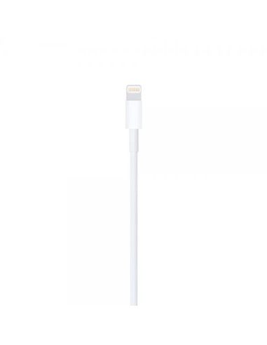 Apple Cavo da Lightning a USB (1 m)