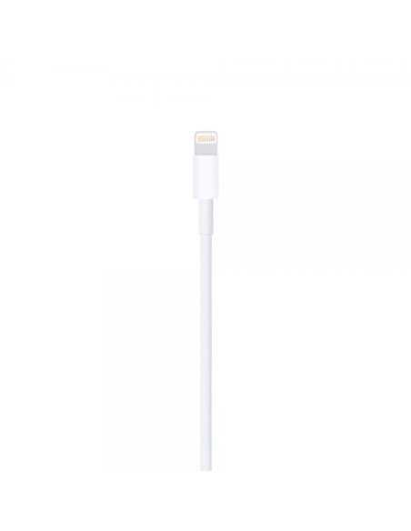 Apple Cavo da Lightning a USB (1 m)