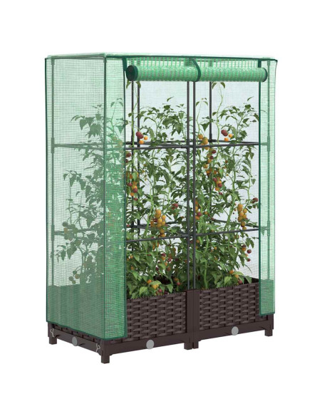 Letto Rialzato con Copertura Serra Effetto Rattan 80x40x123 cm