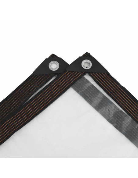 Telone Trasparente con Occhielli 1x10 m in Polietilene