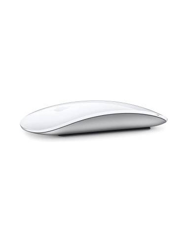 Apple Magic Mouse (2024) Usb-C Silver EU MXK53ZM/A