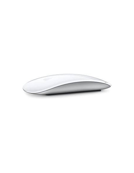 Apple Magic Mouse (2024) Usb-C Silver EU MXK53ZM/A