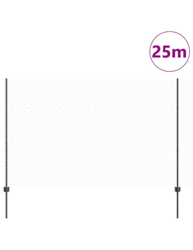 Recinzione con Posto Grigio 1,5 x 25 m Acciaio