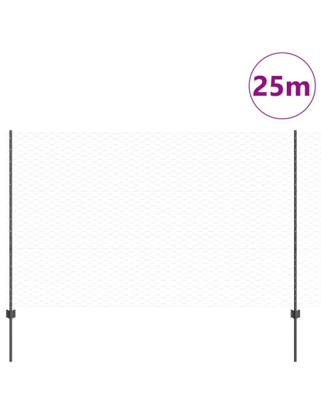 Recinzione con Posto Grigio 1,5 x 25 m Acciaio