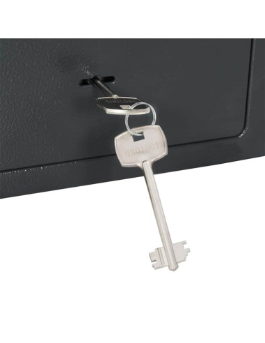 Cassaforte con blocco Grigio scuro 23 x 17 x 17 cm Acciaio