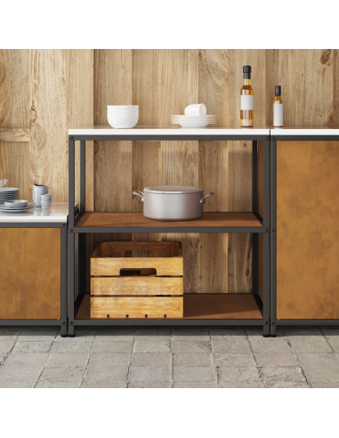 Stoccaggio in cucina Ruggine 60 x 50 x 92 cm Acciaio