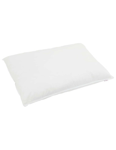 Duvet Invernale con cuscino 2 pcs Bianco Piuma d'anatra